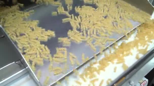 Amazing shot raw pasta macaroni running steel conveyor belt on pasta factory. — Stock Video