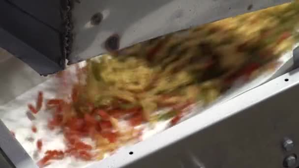 Pasta en Noodles Fabriek. Fusilli of Rotini uit een transportband laten vallen. — Stockvideo