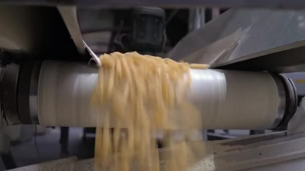 Dejar caer los macarrones de una cinta transportadora en la fábrica de pasta - cámara lenta — Vídeo de stock