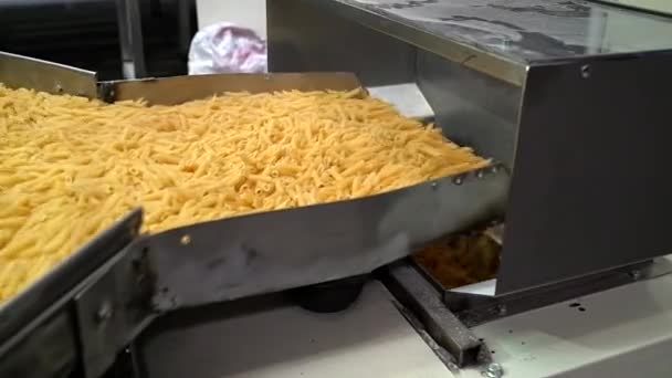 Shaking conveyor belt moves on fresh dry macaroni to the packing machine — Stock Video