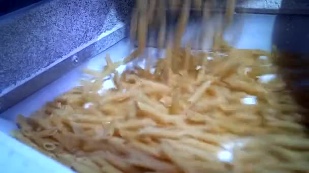 Macaroni falling down in a la carte machine on a conveyor belt — Stock Video