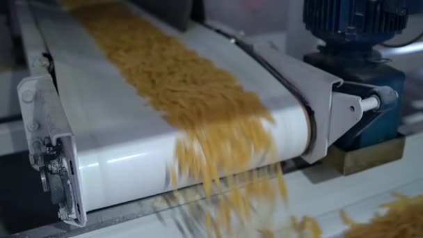 Rauwe gedroogde biologische volkoren pasta penne macaroni rijdend op een transportband — Stockvideo