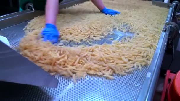 Gerente de controle de qualidade trabalhando na fábrica de massas verifica a qualidade do macarrão — Vídeo de Stock