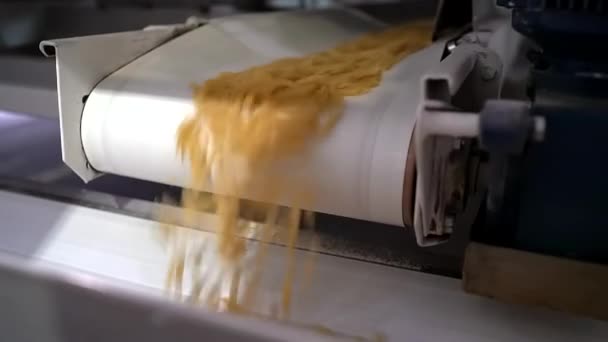 Macaroni uit een transportband laten vallen in de pastafabriek - slow-motion — Stockvideo