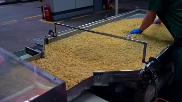 Quality control manager werkt aan de pasta fabriek controleert macaroni kwaliteit — Stockvideo