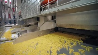 Sallanan taşıma bandı fabrika hattında kuru makarna yapmış.