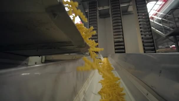 Dejar caer los macarrones de una cinta transportadora en la fábrica de pasta - cámara lenta — Vídeo de stock