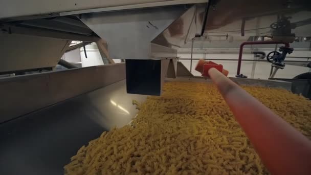 Proces produkcji makaronu w kształcie spirali w fabryce. — Wideo stockowe