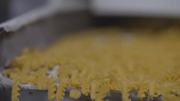 Schudden transportband beweegt op net gemaakte droge pasta door fabriekslijn — Stockvideo