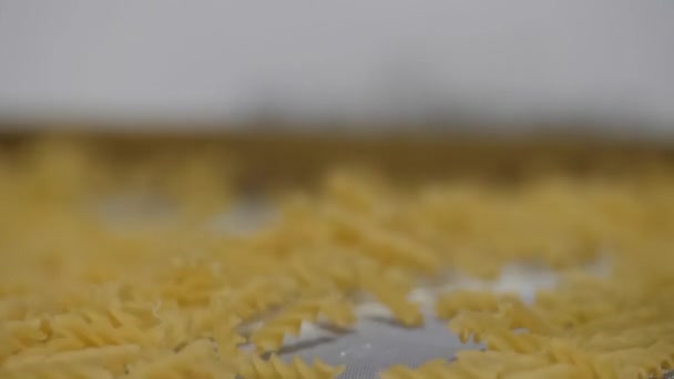 Gıda üretim fabrikasında sallanan konveyörde sarmal şekilli makarna hareketi — Stok video