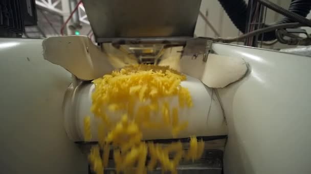 Викидання макаронів з конвеєрного поясу на заводі макаронних виробів - повільний рух — стокове відео