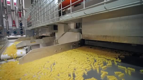Shaking conveyor belt moves on just made dry pasta through factory line — Stock Video