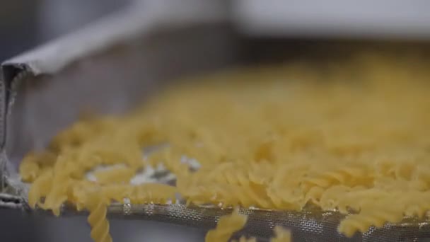 Nära statisk bild av transportband skakningar flyttar som rörelse tillverkade pasta — Stockvideo