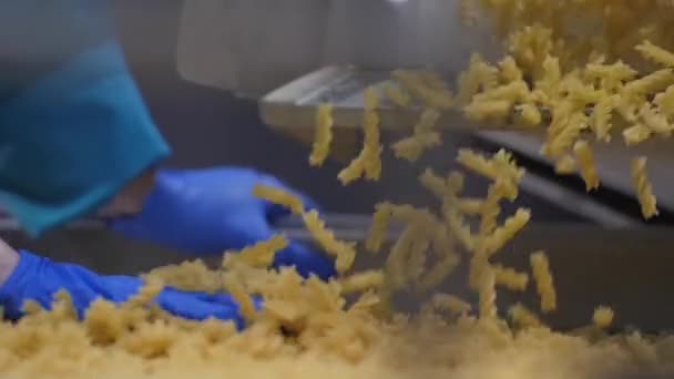 Pekerja pabrik dalam sarung tangan biru memeriksa kualitas makaronis yang baik pada konveyor — Stok Video