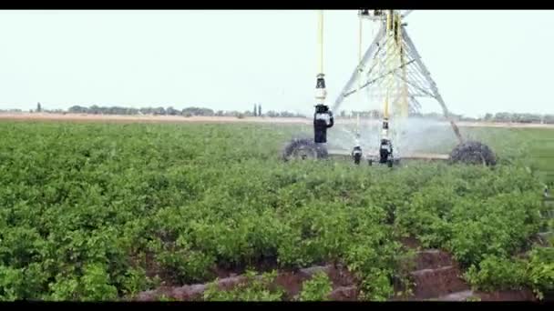 人工的なピボット灌漑システムサークルの時間経過は、フィールドを移動します。 — ストック動画