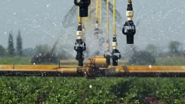 Beaucoup de gouttes brillantes pulvérisent autour près des arrosages de travail partie du système d'irrigation — Video