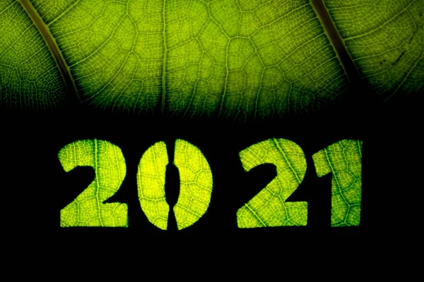 Happy New Year en Happy Holiday wenskaart met groen blad — Stockfoto