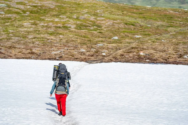 Parc National Padjelanta Beaux Paysages Montagne Sentiers Randonnée Menant Loin — Photo