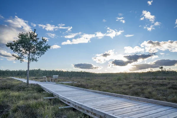 Sun casting low light during calm Sunset in summer over Wooden footpath through Marsh and bog Landscape in Dumme mosse Nature Reserve Near Jonkoping, Smaland Sweden.