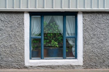 İsveç 'in Göteborg yakınlarındaki Kungalv kasabasında çiçeklerle süslenmiş zarif pencere çerçevesi ayrıntıları.