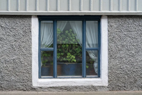 Elégants Détails Décorés Cadre Fenêtre Avec Des Fleurs Dans Ville — Photo