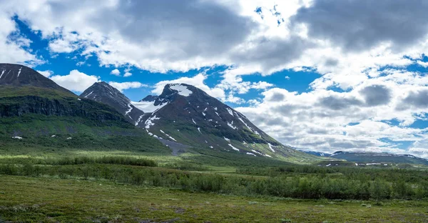 Lindas Planícies Com Canteiro Flores Maciço Montanha Akka Parque Nacional — Fotografia de Stock