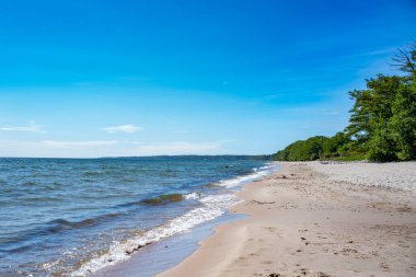 Stenshuvud Ulusal Park Lush Ormanları Yüksek Biyolojik Çeşitlilik ve Güney İsveç Osterlen Skane 'deki Long Sandy Sahili. 