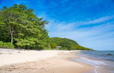 Stenshuvud Ulusal Park Lush Ormanları Yüksek Biyolojik Çeşitlilik ve Güney İsveç Osterlen Skane 'deki Long Sandy Sahili. 