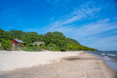 Stenshuvud Ulusal Park Lush Ormanları Yüksek Biyolojik Çeşitlilik ve Güney İsveç Osterlen Skane 'deki Long Sandy Sahili. 