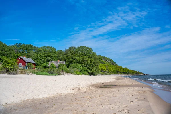 Park Narodowy Stenshuvud Bujne Lasy Wysokiej Bioróżnorodności Długiej Piaszczystej Plaży — Zdjęcie stockowe