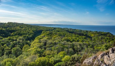 Stenshuvud National Park Overlooking Lush forests nature with High Biodiversity and mountain landscape in Osterlen Skane, South Sweden. 
