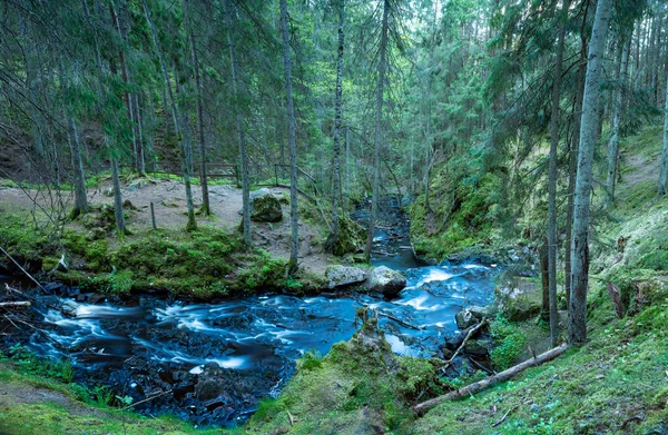 Hassafallen Impresionante Cascada Bosque Rural Salvaje Las Afueras Jonkoping Suecia — Foto de Stock