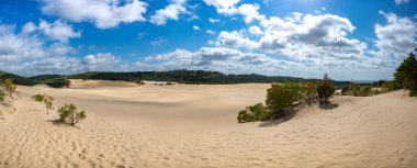 Fraser Adası 'ndaki Panorama Gölü Wabby Büyük Sandy Ulusal Parkı Queensland Avustralya' nın bir parçası. Göl deniz yaşamı ile gelişiyor ve Hammerstone Kumtaşı 'nın kumları altında kaybolacak..