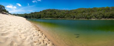 Fraser Adası 'ndaki Wabby Gölü Büyük Sandy Ulusal Parkı Queensland Avustralya' nın bir parçası. Göl deniz yaşamı ile gelişiyor ve Hammerstone Kumtaşı 'nın kumları altında kaybolacak..