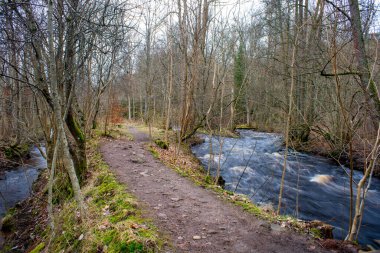 Jonkoping İsveç 'in dışındaki Kırsal Vahşi Orman' da Hassafell Şelalesi ve Taberg Deresi 'ne yakın. İsveç Nehirleri ve Şelaleleri.
