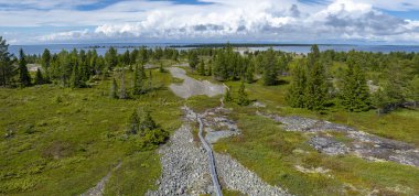 İsveç 'in kuzeyindeki Bothnia Körfezi' ndeki Stor-Rabben Adası 'ndaki büyük çam ormanlarıyla tipik İskandinav Yaban ve Archipelago adaları., 
