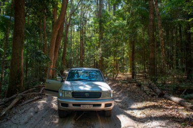 4WD Fraser Adası Sandy Yağmur Ormanı Yolu üzerinde Büyük Kumsal Ulusal Parkı, Queensland Avustralya.