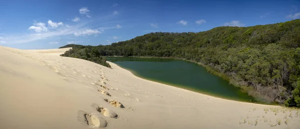 Panorama Lake Wabby on Fraser Island part of the Great Sandy National Park Queensland Australia. The lake is thriving with marine life and will disappear under the sand from The Hammerstone Sandblow.