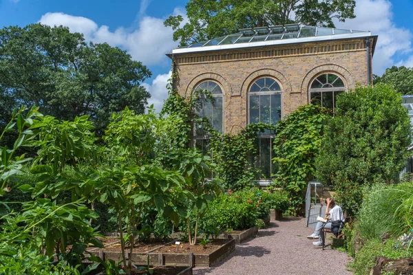 Jardín botánico con hermoso invernadero o invernadero — Foto de Stock