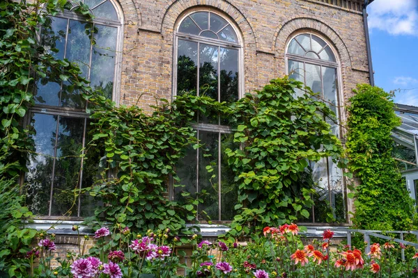 아름다운 온실이나 응접실 이 있는 식물원 — 스톡 사진