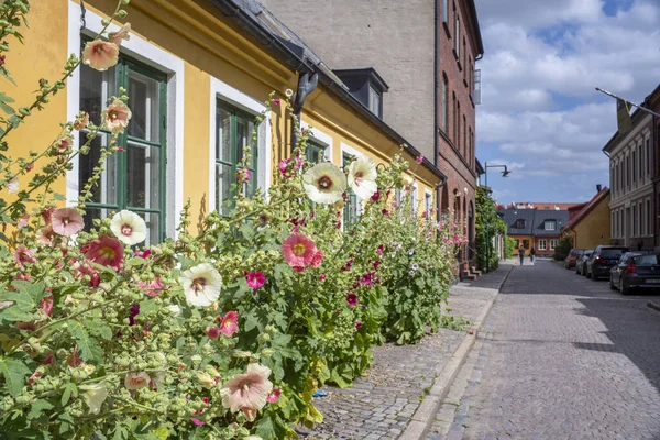 스웨덴의 2021 특징적 거리와 골목길에 피카소 건물들이 스웨덴 의작은 — 스톡 사진