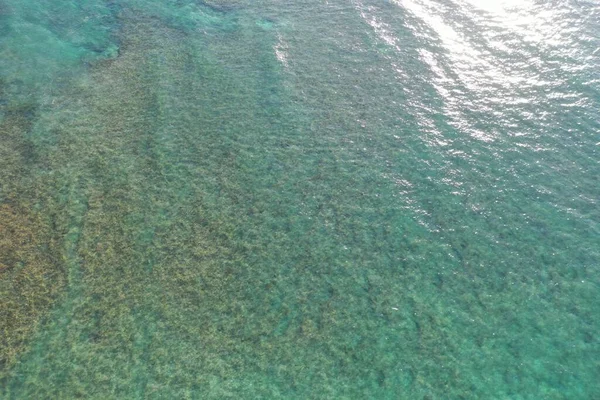 Turquoise Clear Calm Water Indian Ocean Shore — Fotografia de Stock