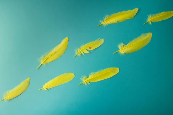 Plumas Amarillas Voladoras Con Corazón Rojo Sobre Fondo Azul Brillante — Foto de Stock