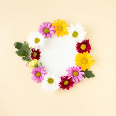 Renkli bahar çiçekleri, döngü şeklinde düzenlenmiş ve pastel arka planda fotokopi alanı var. Asgari yaratıcı kavram.