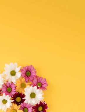 Pembe ve beyaz bahar çiçekleri, parlak sarı arka planda. Asgari konsept.