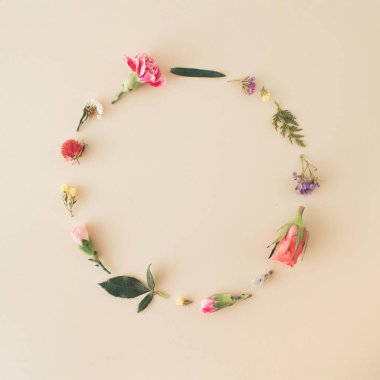 Spring flowers placed in a circle on a pastel background. Romantic colorful flowers, roses, green leaves Romantic concept.  Minimal flat lay concept with copy space.