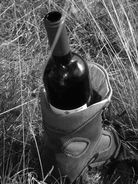 Piknik yeşil dünya