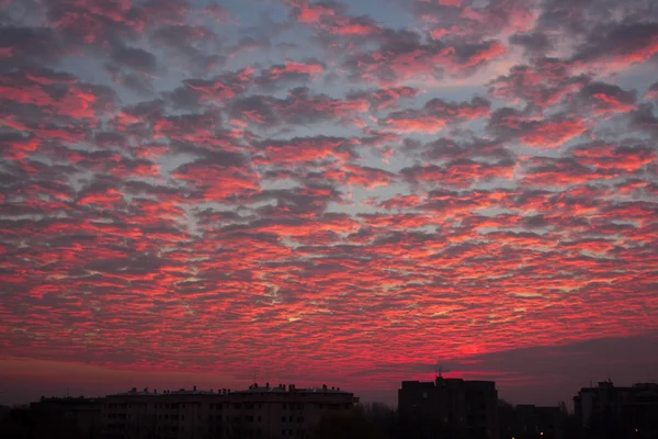 Kış gökyüzünde V