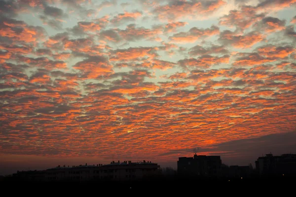 Cielo de invierno VI — Foto de Stock