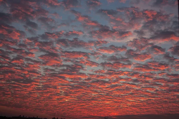 Kış gökyüzünde IV